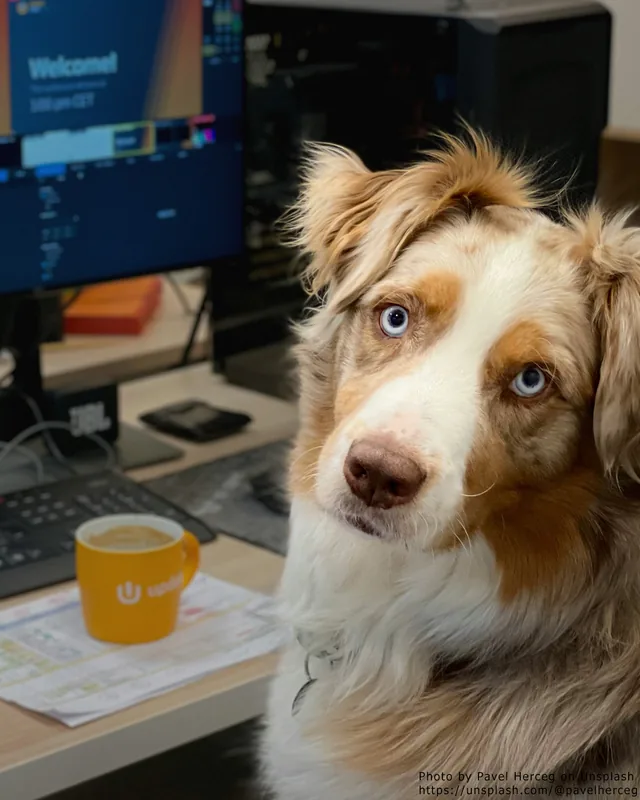 Hond naast een bureau met beeldschermen en een gele mok.